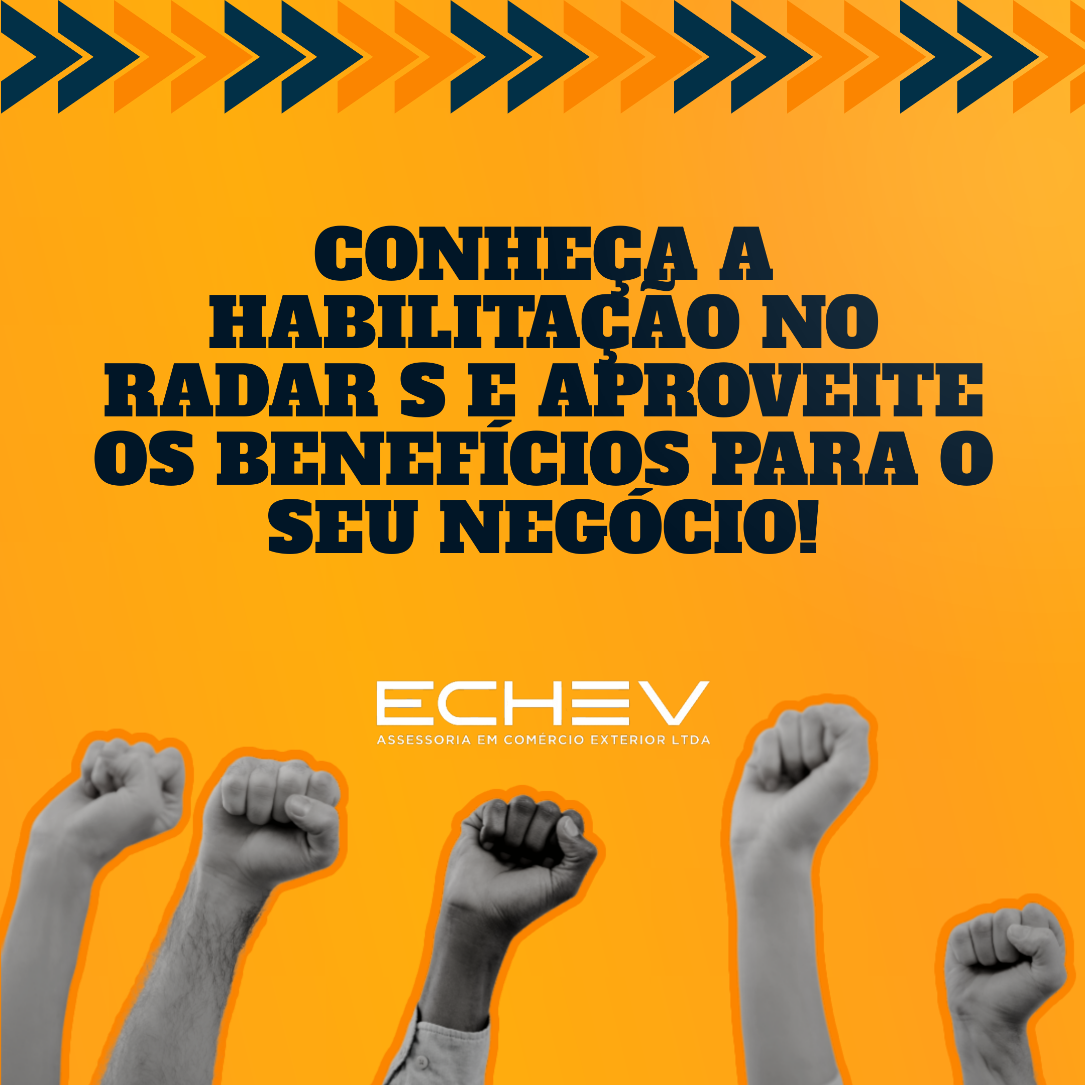 Radar Siscomex